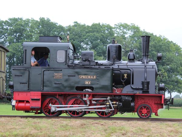 Historische Dampflok namens "Spreewald" auf einer grünen Wiese mit Bäumen im Hintergrund, seitlich fotografiert.