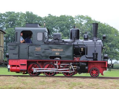 Historische Dampflok namens "Spreewald" auf einer grünen Wiese mit Bäumen im Hintergrund, seitlich fotografiert.