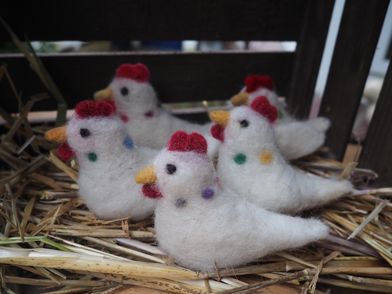 Filzhühner