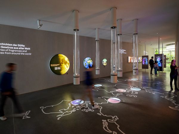 Einblick in eine der Ausstellung im Sensoria 