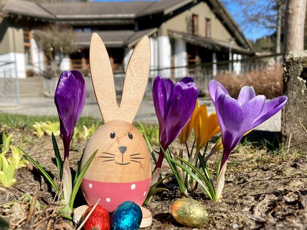 Ein gebastelter Osterhase und Schokoladeneier zwischen Krokussen