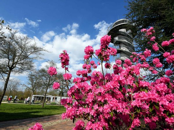 Frühlingsboten im Park der Gärten