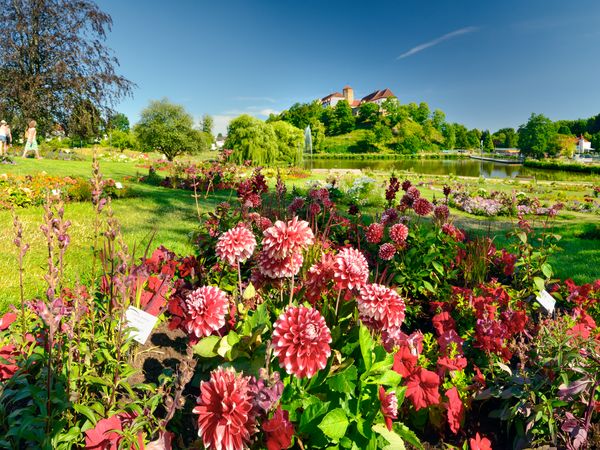 Park in Bad Rothenfelde