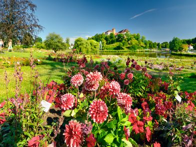Park in Bad Rothenfelde