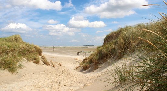 Strand von Baltrum, © Denis Metz Strand von Baltrum, © Denis Metz