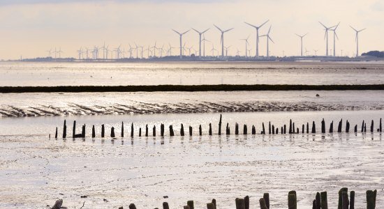 Windräder im Sonnenuntergang, © Francesco Carovillano Windräder im Sonnenuntergang, © Francesco Carovillano