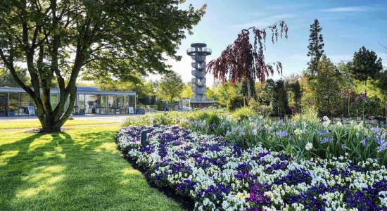 Park der Gärten im Frühjahr, © Park der Gärten gGmbH