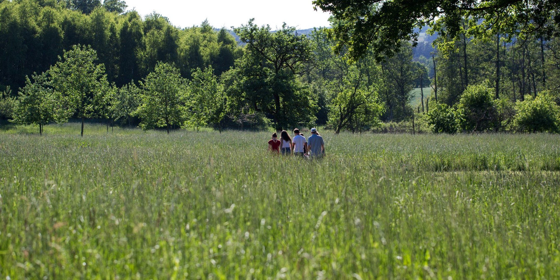 Frühsommer im Barfußpark, © Barfußpark Lüneburger Heide