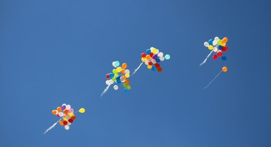 Dankbarkeitswochenende, © Ankush Minda, Unsplash Dankbarkeitswochenende, © Ankush Minda, Unsplash