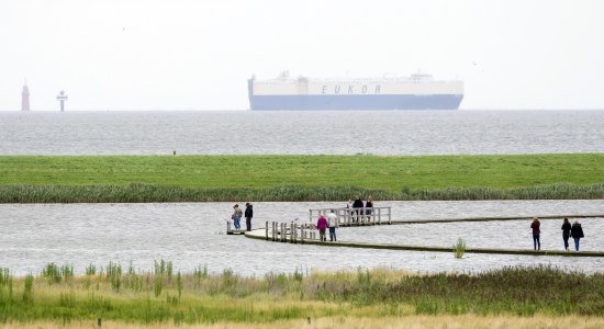 Langwarder Groden nominiert als Deutschlands Schönster Wanderweg, © Tourismus-Service Butjadingen