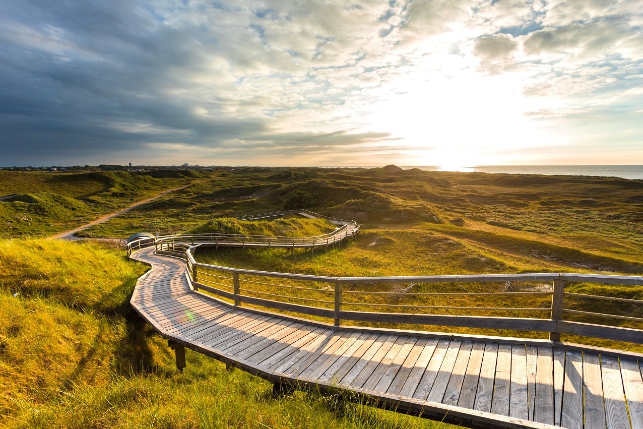 Bohlenweg durch die Dünen auf Norderney, © Janis Meyer