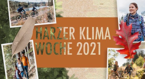 Harzer Klima Woche, © HAHNENKLEE tourismus marketing gmbh Harzer Klima Woche, © HAHNENKLEE tourismus marketing gmbh