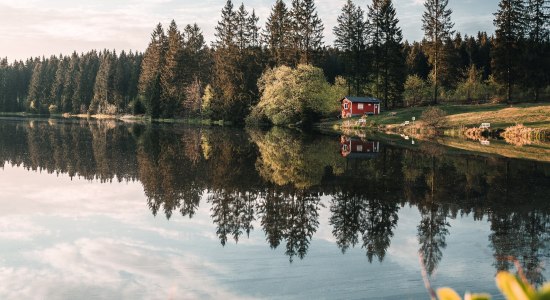 Ziegenberger Teich, Buntenbock im Harz , © TourismusMarketing Niedersachsen GmbH/ Tim Küster Ziegenberger Teich, Buntenbock im Harz , © TourismusMarketing Niedersachsen GmbH/ Tim Küster