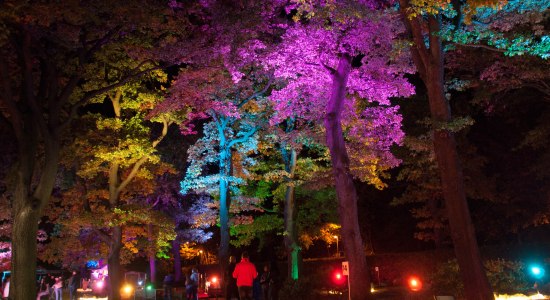 Herbstzauber im Kurpark , © HarzVenture GmbH