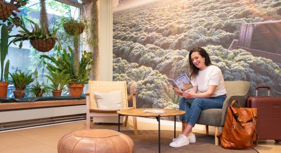 Touristinfo Oldenburg, © OTM | Mario Dirks