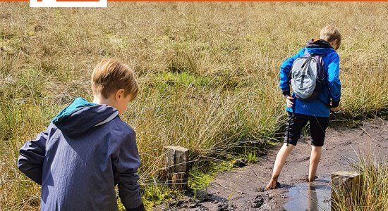 Wanderumfrage, © Touristikverband LK Rotenburg ccbysa