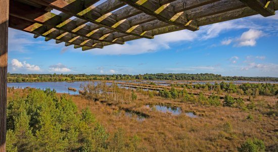 20 Jahre Radwanderweg „Vom Teufelsmoor zum Wattenmeer“, © Bild von Björn Wengler Fotografie. Lizenz: CC BY-SA 