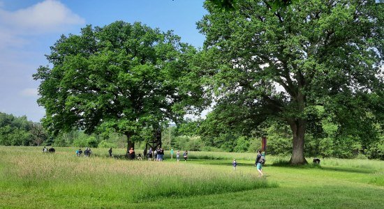 Raus in die Natur, © Barfußpark in Egestorf Raus in die Natur, © Barfußpark in Egestorf