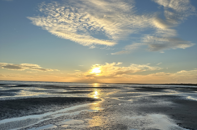 Wattenmeer , © TourismusMarketing Niedersachsen