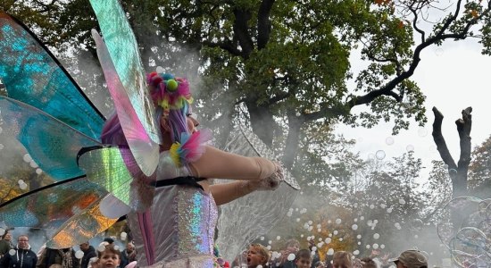 Herbstzauber 2024, © HarzVenture GmbH