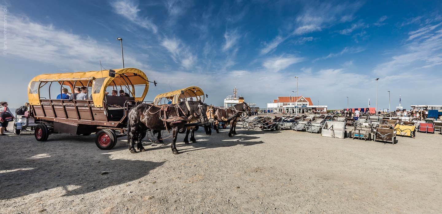 Hafenansicht Ankunft auf Juist: Kutschen als Taxi, © Lars Wehrmann