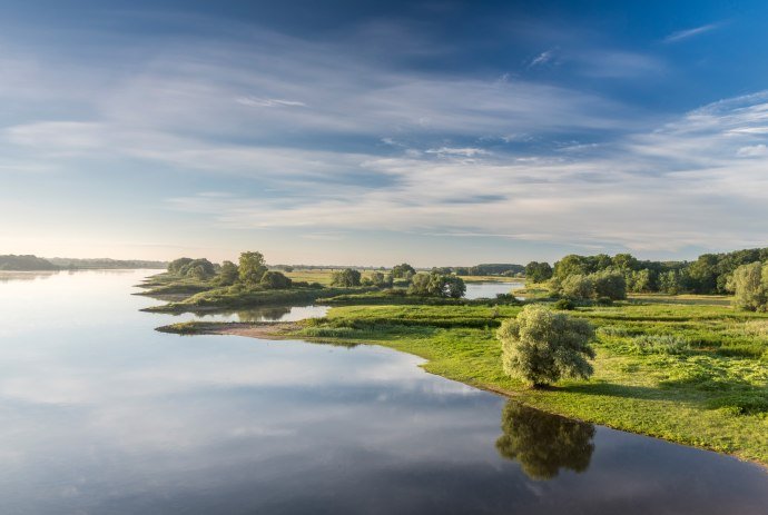 Blick auf die ruhige Elbe bei Morgenstimmung, © TourismusMarketing Niedersachsen GmbH / Dieter Damschen