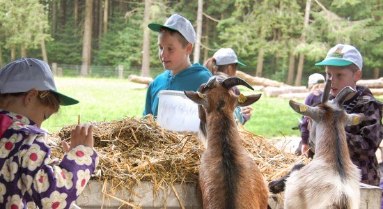 Stall ausmisten beim Tierpfleger Ferienprogramm im Wildpark Schwarze Berge, © Wildpark Schwarze Berge