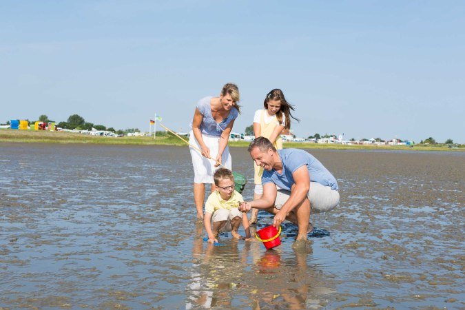 Familie beim Wattwandern in Burhave