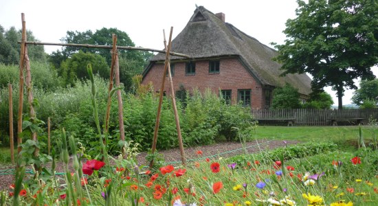Garten im Museumsbauernhof Wennerstorf, © FLMK