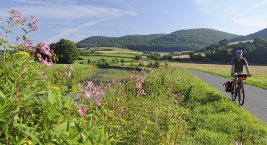 Leine-Heide-Radweg bei Eimsen, © TourismusMarketing Niedersachsen GmbH / Thorsten Brönner Leine-Heide-Radweg bei Eimsen, © TourismusMarketing Niedersachsen GmbH / Thorsten Brönner