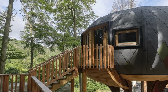 Urlaub im Oktagon-Baumhaus, © Sonnenhotels