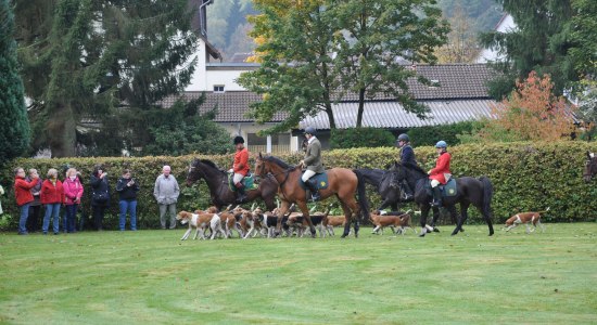 Hubertusreitjagd in Neuhaus, © Solling-Vogler-Region im Weserbergland e.V.