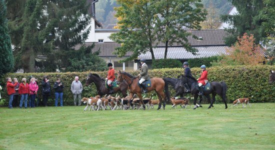 Hubertusreitjagd in Neuhaus, © Solling-Vogler-Region im Weserbergland e.V.