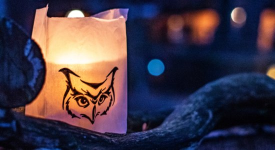 Lichterfest Wildpark Müden, © Wildpark Müden Lichterfest Wildpark Müden, © Wildpark Müden