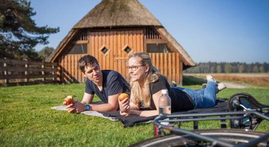 Pause in der Heide, © malopo / om-tourismus