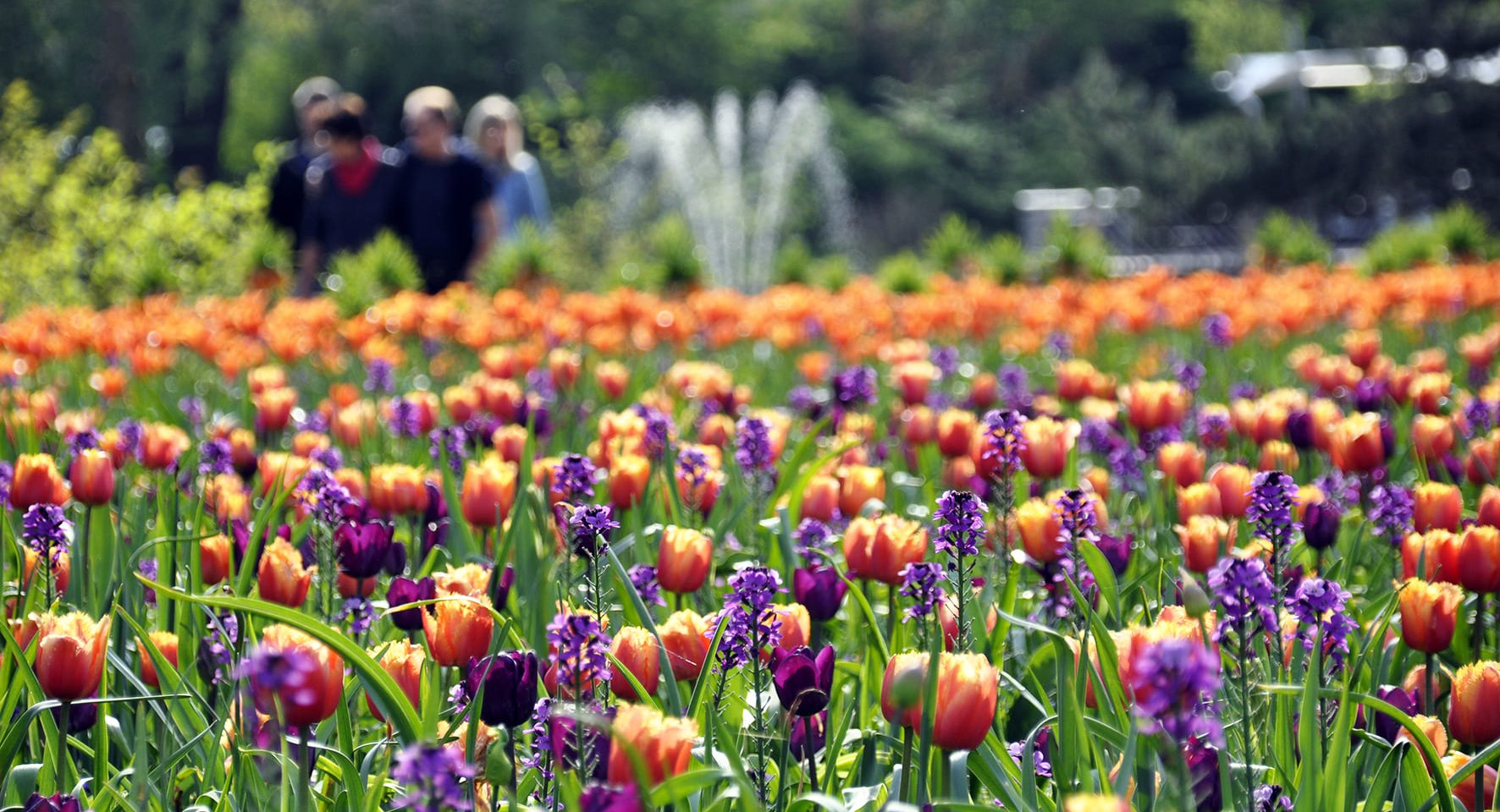 Blumenband, © Park der Gärten