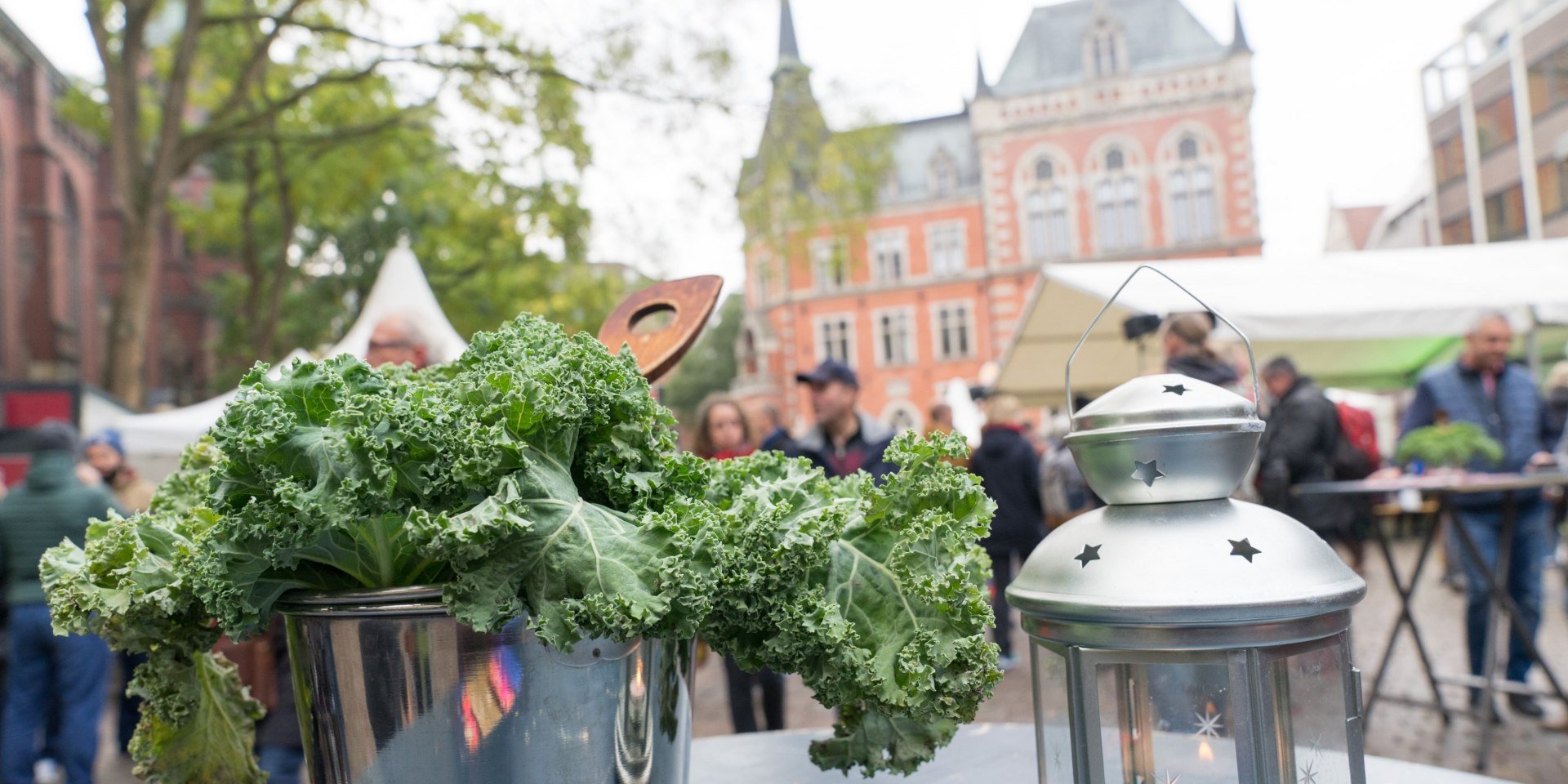 Grünkohl auf dem Rathausmarkt Oldenburg, © OTM | Sascha Stüber