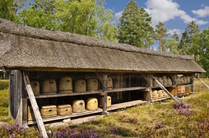 Bienenzaun in der Heide