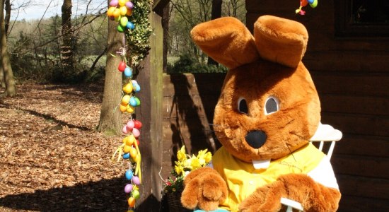 Hanni Hase, © Deutsche Post