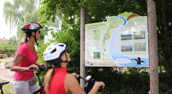 Radfahren in der Mittelweser, © Mittelweser-Touristik GmbH