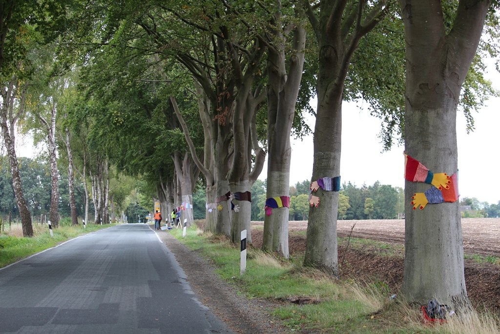 Urban Knitting Aktion in der Rot-Buchen-Allee in Dötlingen, © Wolfgang Pohl