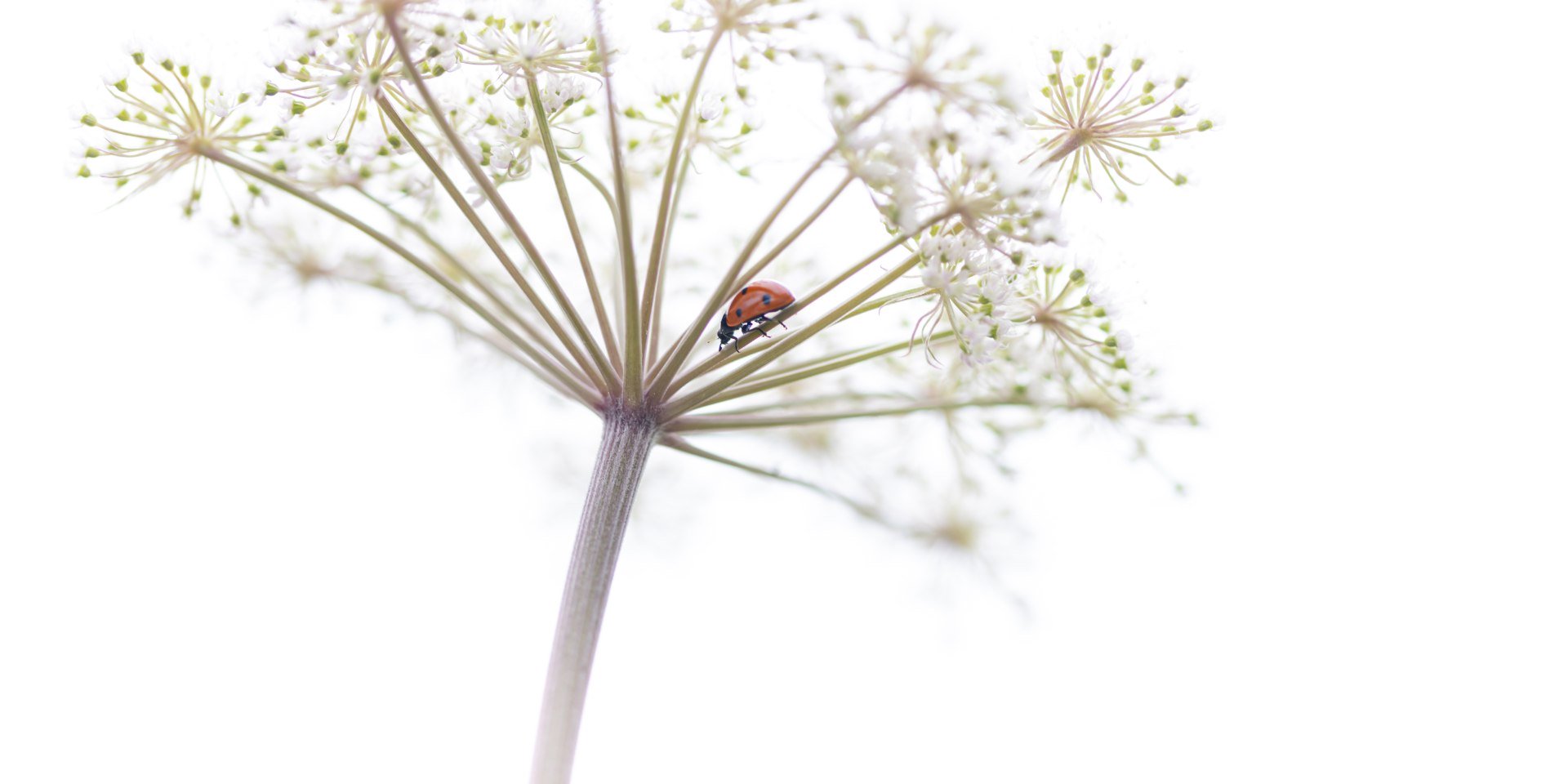 Spaziergang , © Mario Hildebrandt