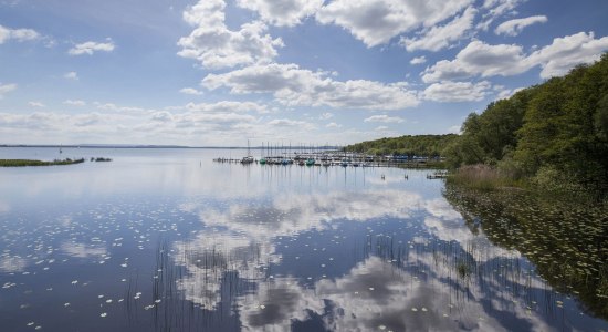 Blick aufs Steinhuder Meer, rechts Segelboote am Liegeplatz, © Naturpark Steinhuder Meer, Region Hannover/ Claus Kirsch