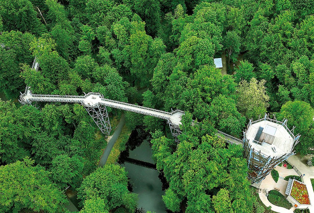 Der Baumwipfelpfad Bad Iburg, © Helmut Schmidt