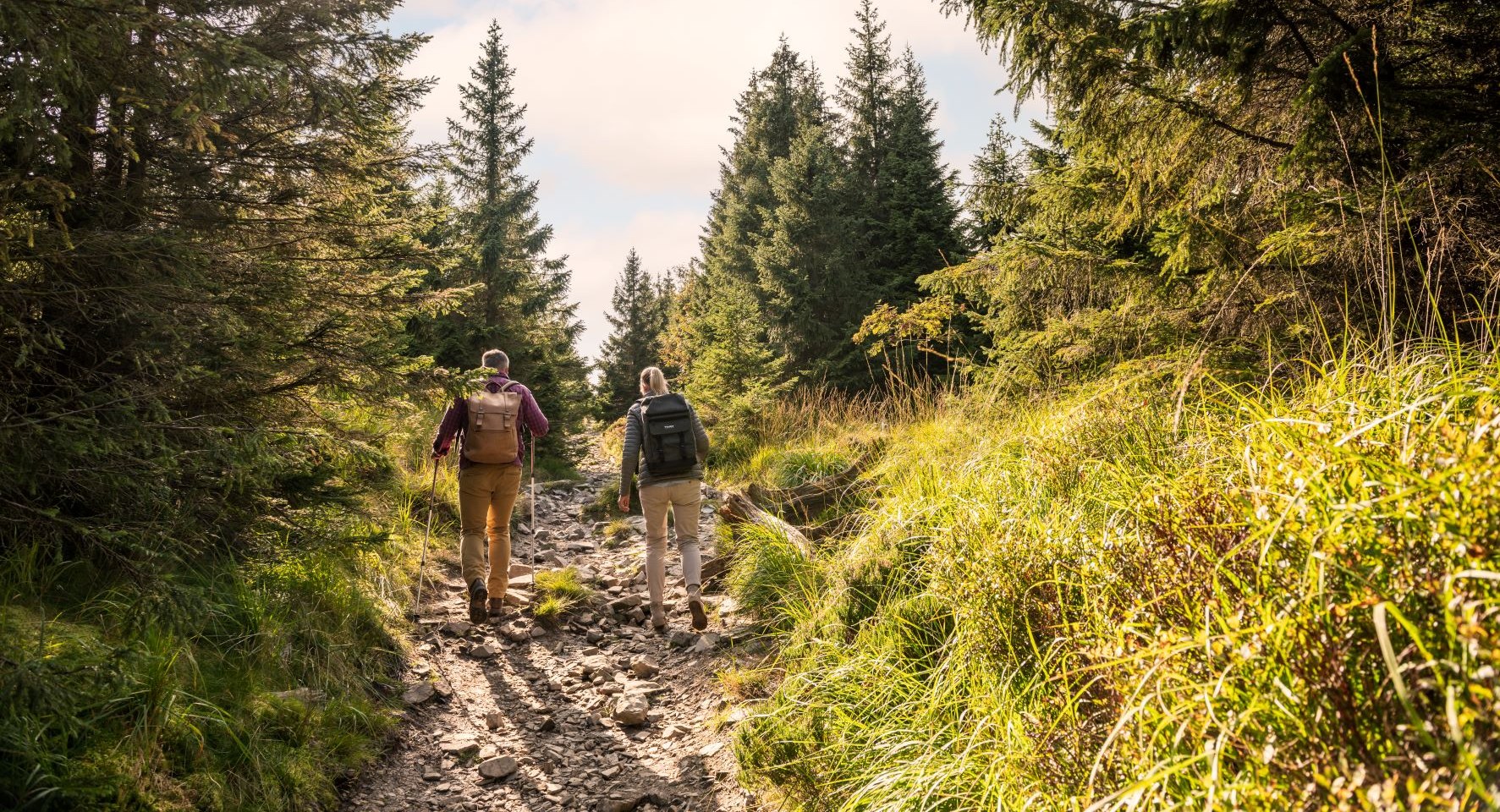 Harz, © Markus Tiemann/ TMN