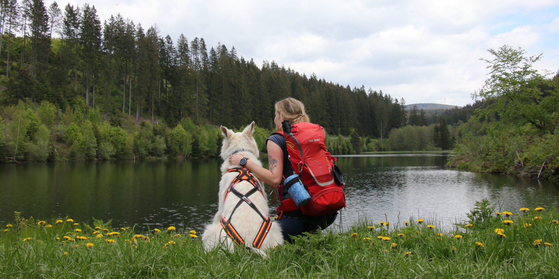 Mit Hund im Harz unterwegs, © M. Pagenkemper/Maddieunterwegs