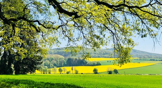 Deister im Frühling , © Kur- und Tourismusgesellschaft Staatsbad Nenndorf mbH Deister im Frühling , © Kur- und Tourismusgesellschaft Staatsbad Nenndorf mbH