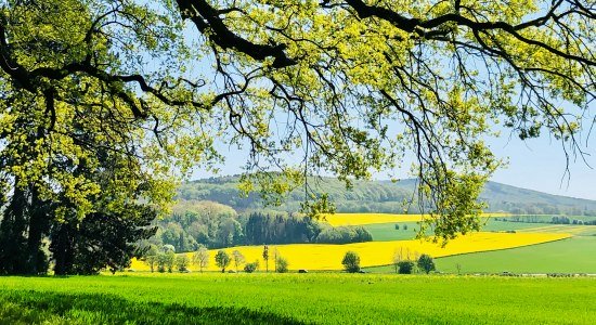 Deister im Frühling , © Kur- und Tourismusgesellschaft Staatsbad Nenndorf mbH Deister im Frühling , © Kur- und Tourismusgesellschaft Staatsbad Nenndorf mbH