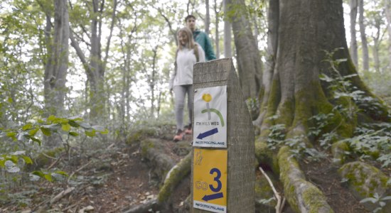 Junge Wanderer auf dem Ith-Hils-Weg, © SVR/ F. Scheider