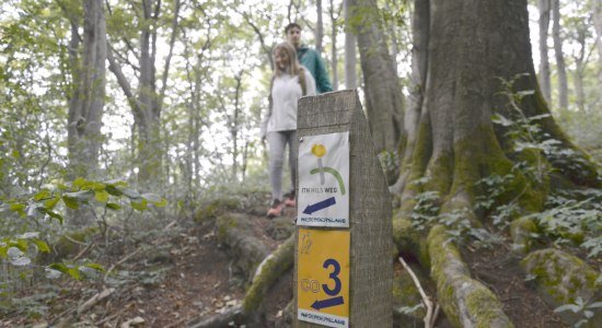 Junge Wanderer auf dem Ith-Hils-Weg, © SVR/ F. Scheider Junge Wanderer auf dem Ith-Hils-Weg, © SVR/ F. Scheider
